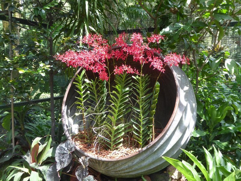 Singapur 2017 603